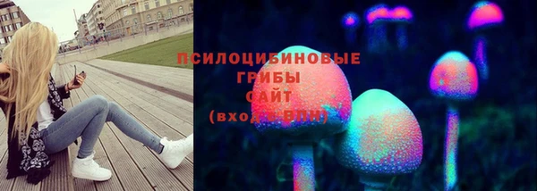 ешки Волоколамск