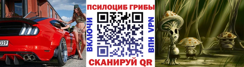 Купить  Новоалтайск  Галлюциногенные грибы Cubensis 